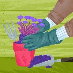 Meet your Posher, Debbie